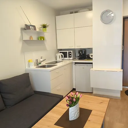 2 Kambariu Apartamentai Lejlighed *