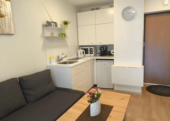 2 Kambariu Apartamentai דירה *